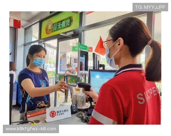 分析K8凯发电子游戏平台的支付方式多样化保障资金快速到账