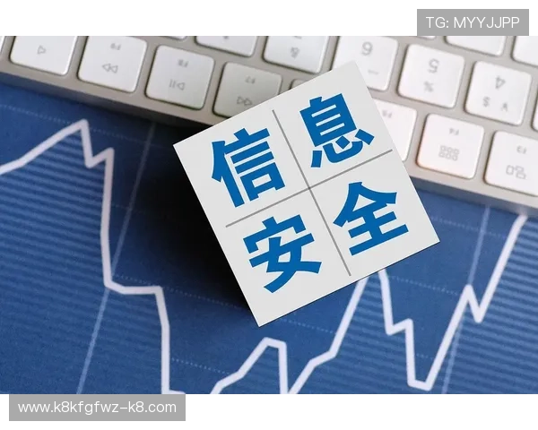 Tog电子游戏网站安全保障措施详解，保障玩家账号信息与资金安全