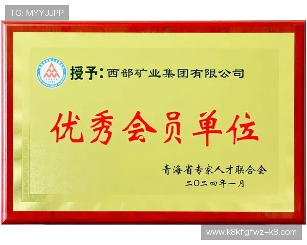凯发集团会员注册步骤详解及注册过程中常见问题解决方案