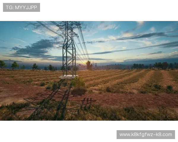 凯发网官网安全登录指南保障你的账号安全与隐私保护 凯发网官网安全登录指南保障你的账号安全与隐私保护